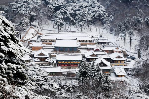 이지앤드림펜션