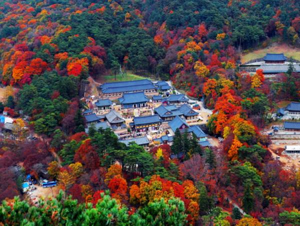 이지앤드림펜션