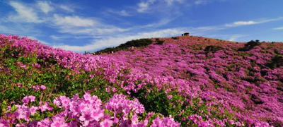 이지앤드림펜션