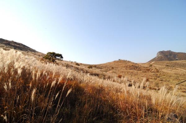 이지앤드림펜션