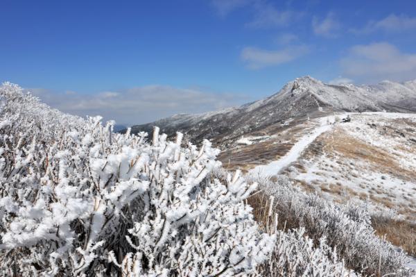 이지앤드림펜션