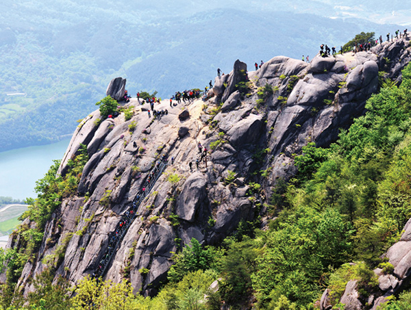 이지앤드림펜션