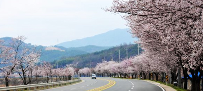 이지앤드림펜션