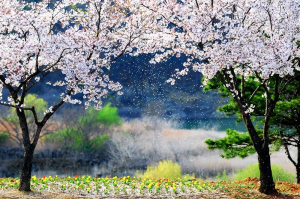 이지앤드림펜션