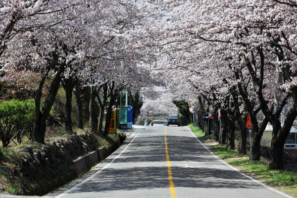 이지앤드림펜션