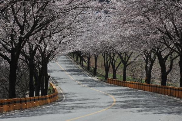 이지앤드림펜션