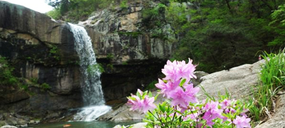 이지앤드림펜션