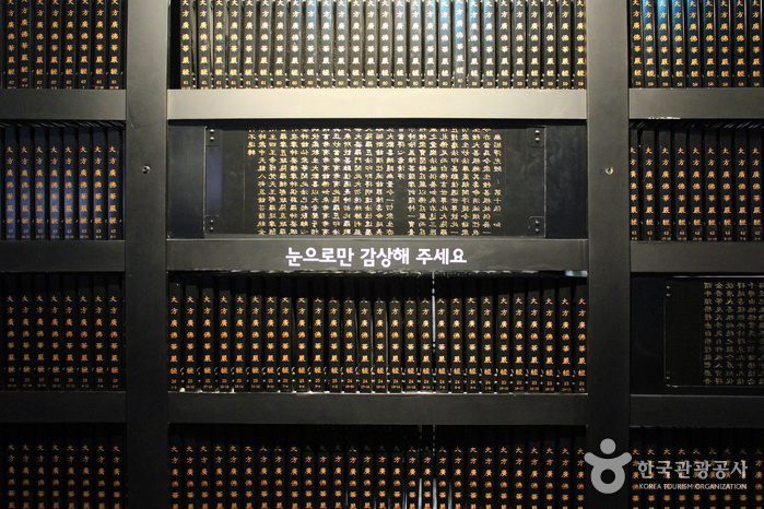 이지앤드림펜션