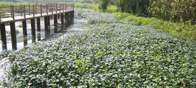 이지앤드림펜션