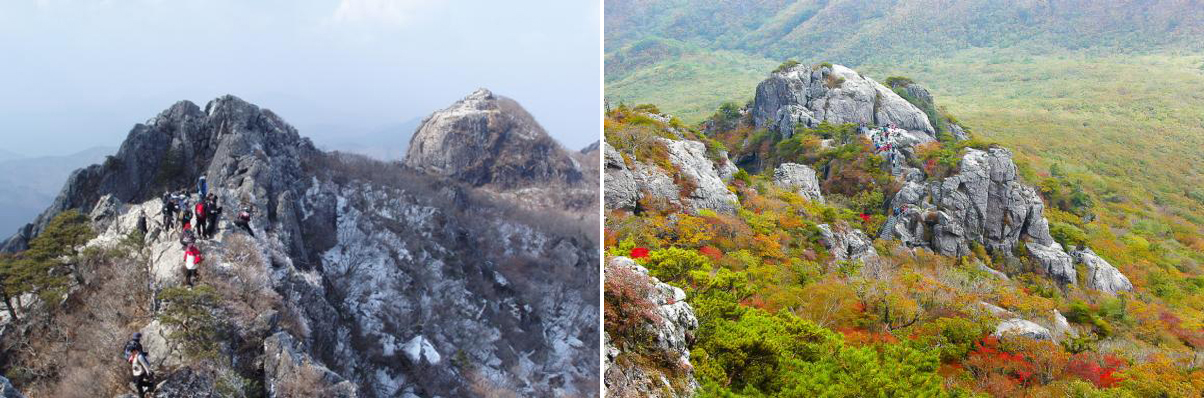 이지앤드림펜션