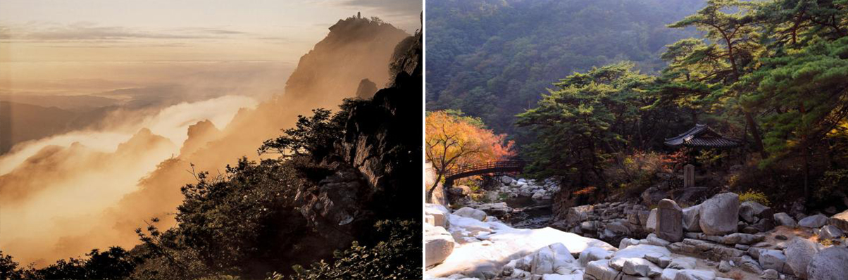 이지앤드림펜션