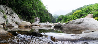 이지앤드림펜션