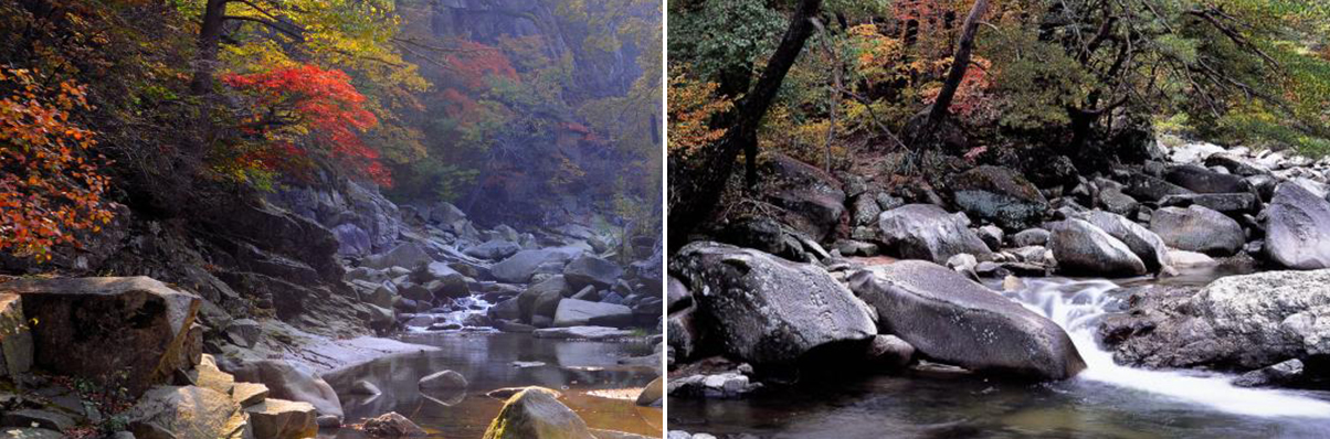 이지앤드림펜션