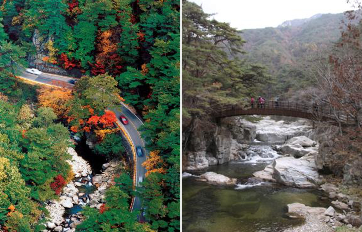 이지앤드림펜션