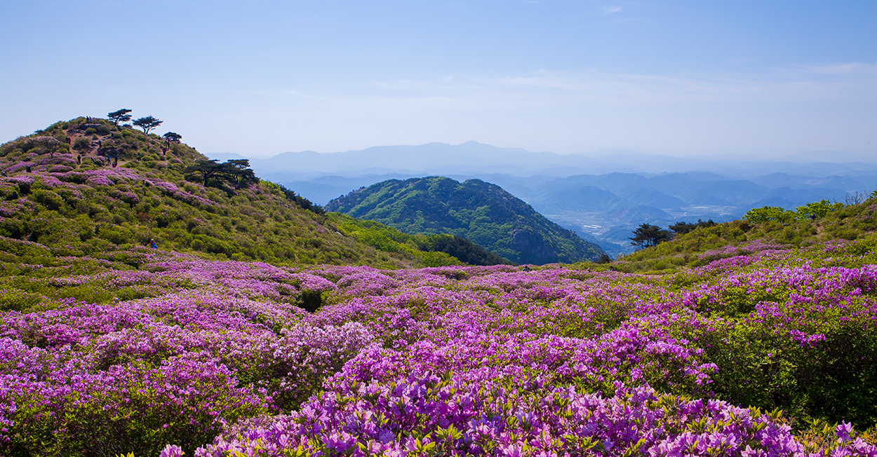 이지앤드림 전경
