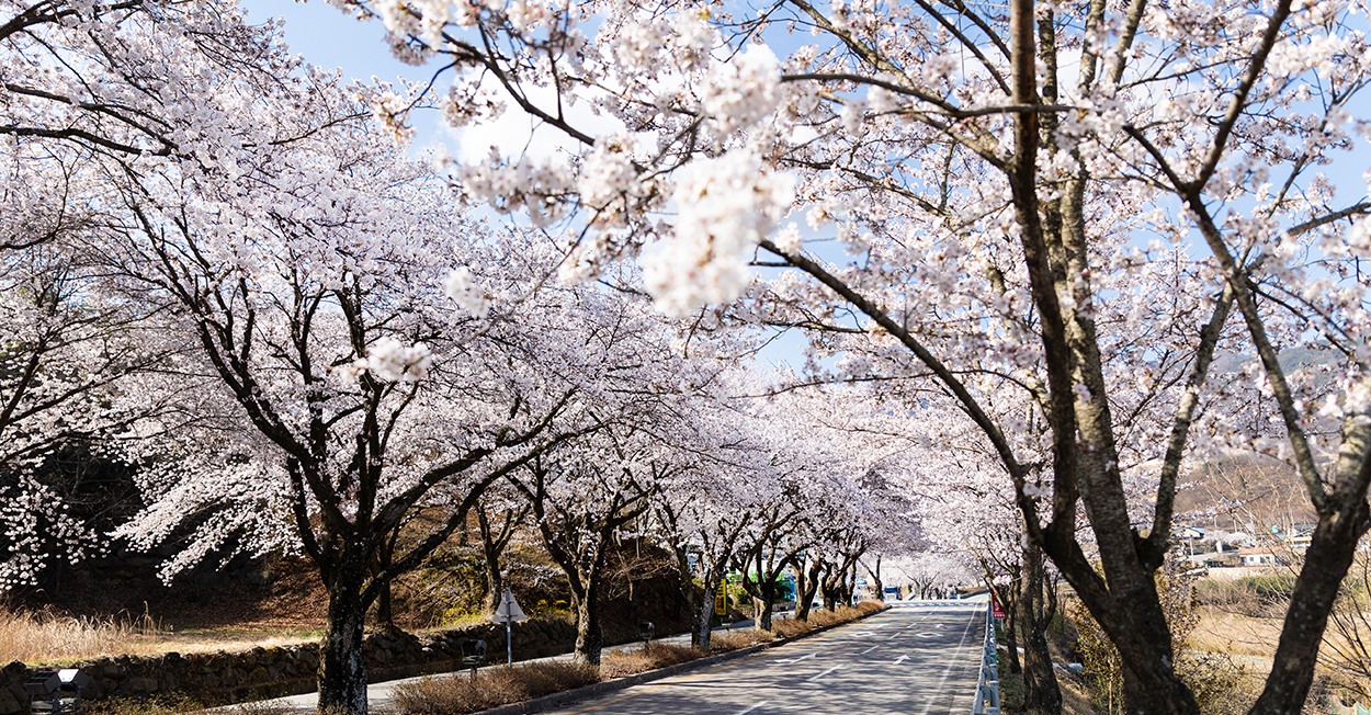 이지앤드림 전경