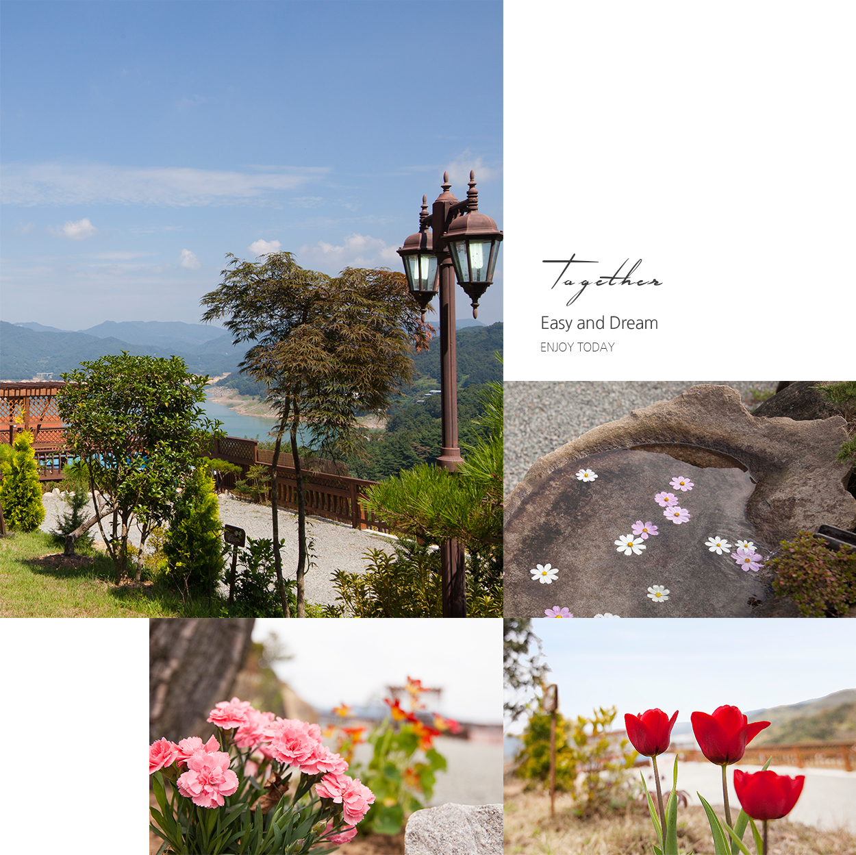 이지앤드림 전경