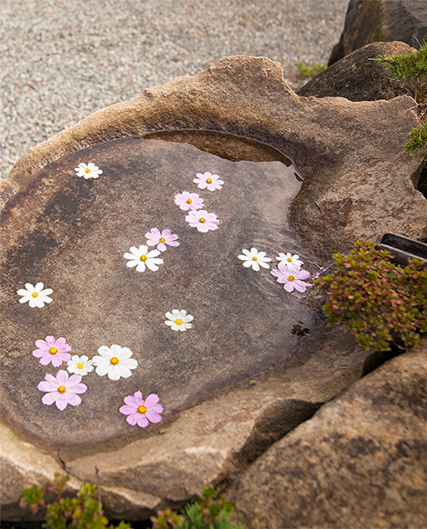합천 이지앤드림펜션 전경