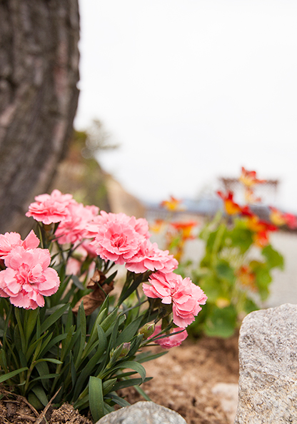 합천 이지앤드림펜션 전경